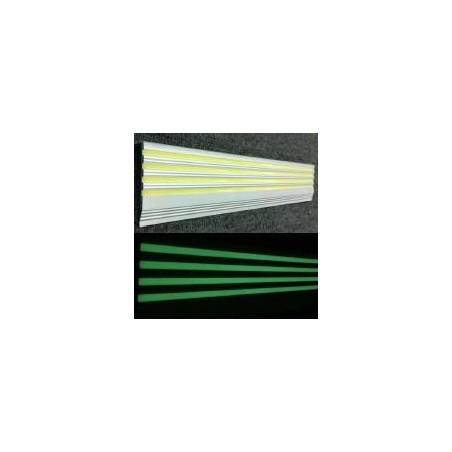 Senyal Sortida d'emergència fletxa dreta fotoluminiscent - Referència 5001F