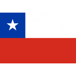 SYSSA- Tienda Online- Bandera de Chile